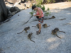 CairnsTC134 Granite Gorge